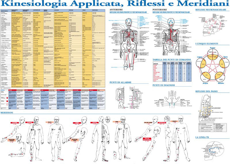 Poster Informativo Kinesiologia Applicata